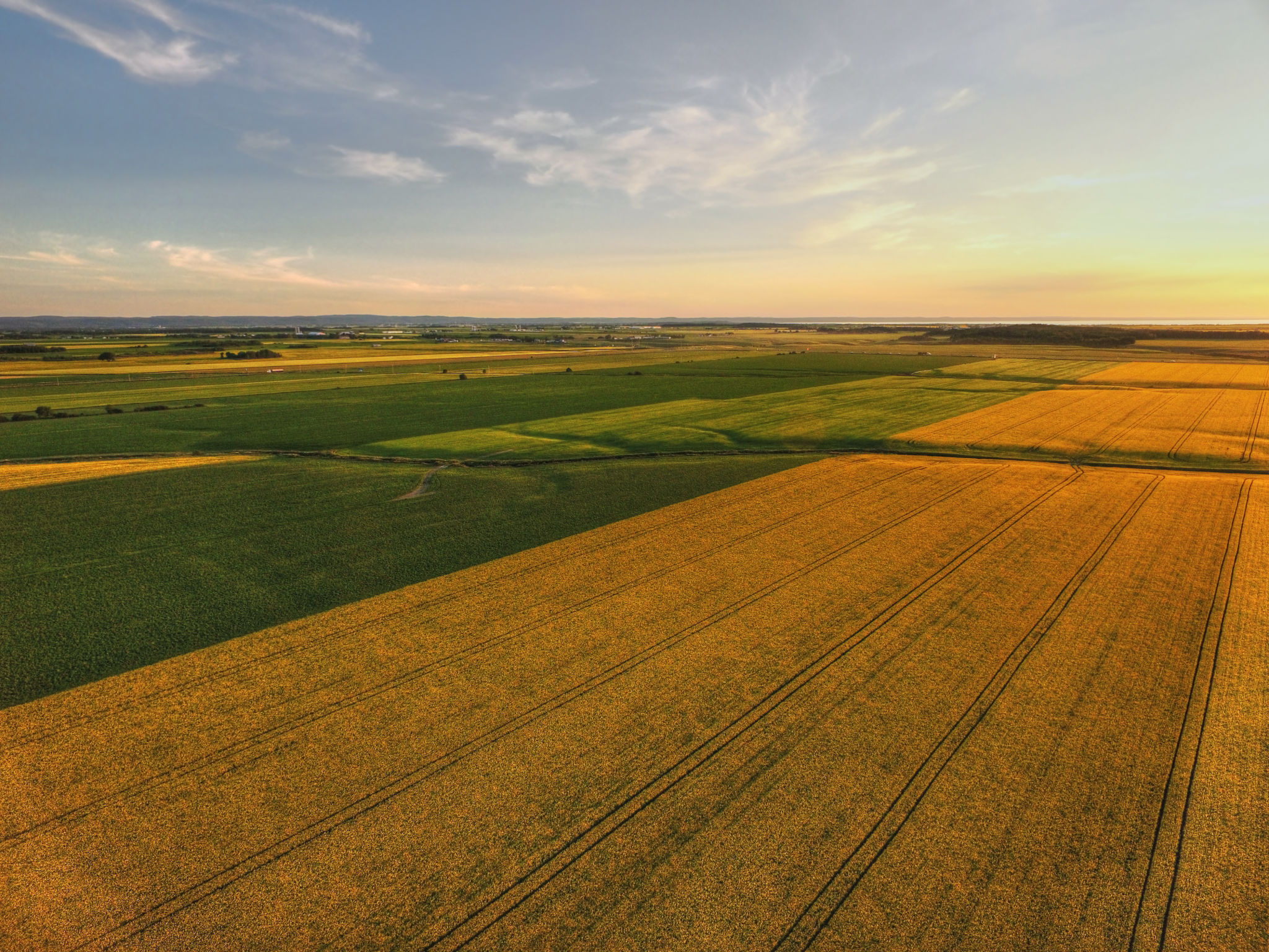 canadian farm