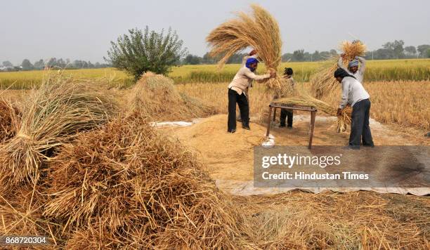 Thrshing Rice 360 India Threshing Stock Photos, High-Res Pictures, and Images - Getty ...