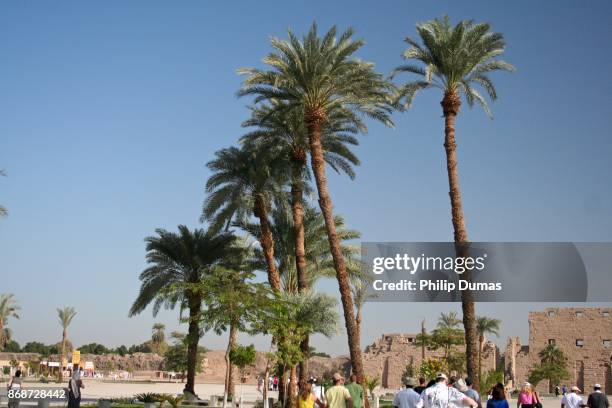 karnak grounds - temples de karnak photos et images de collection