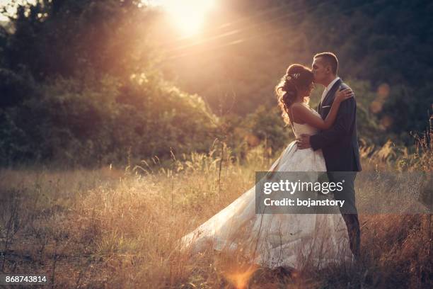 bruidspaar in de natuur - beautiful bride stockfoto's en -beelden