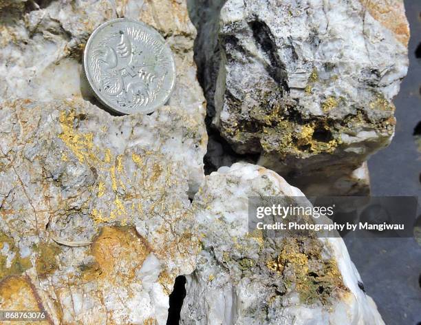 gold - goldfield stock pictures, royalty-free photos & images