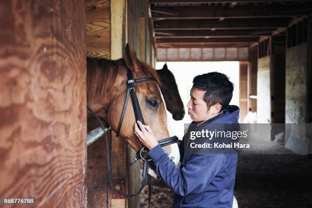 man working in the horse stable - züchter stock-fotos und bilder