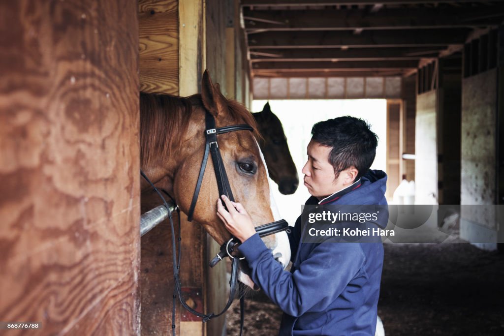 Man working in the horse stable