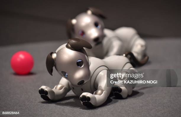 Sony's latest entertainment robots "aibo" are displayed during a press preview at the company's headquarters in Tokyo on November 1, 2017. - Japanese...