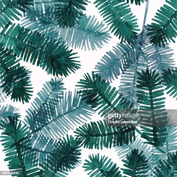 watercolor background with pine tree twigs - evergreen texture stock illustrations