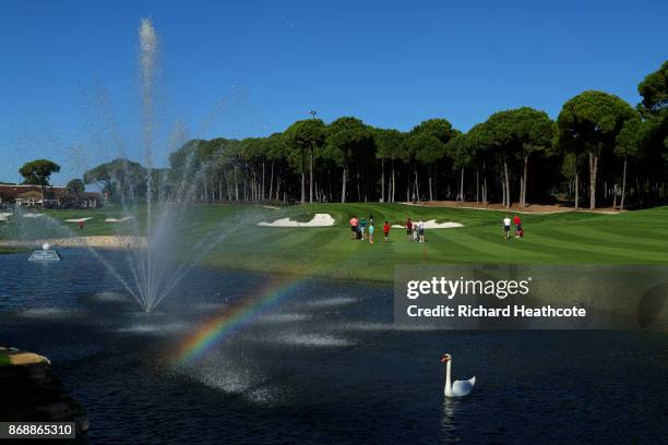 Swan swims in the lake beside the 18th hole as players practise ahead of the Turkish Airlines Open at the Regnum Carya Resort on October 31, 2017 in...