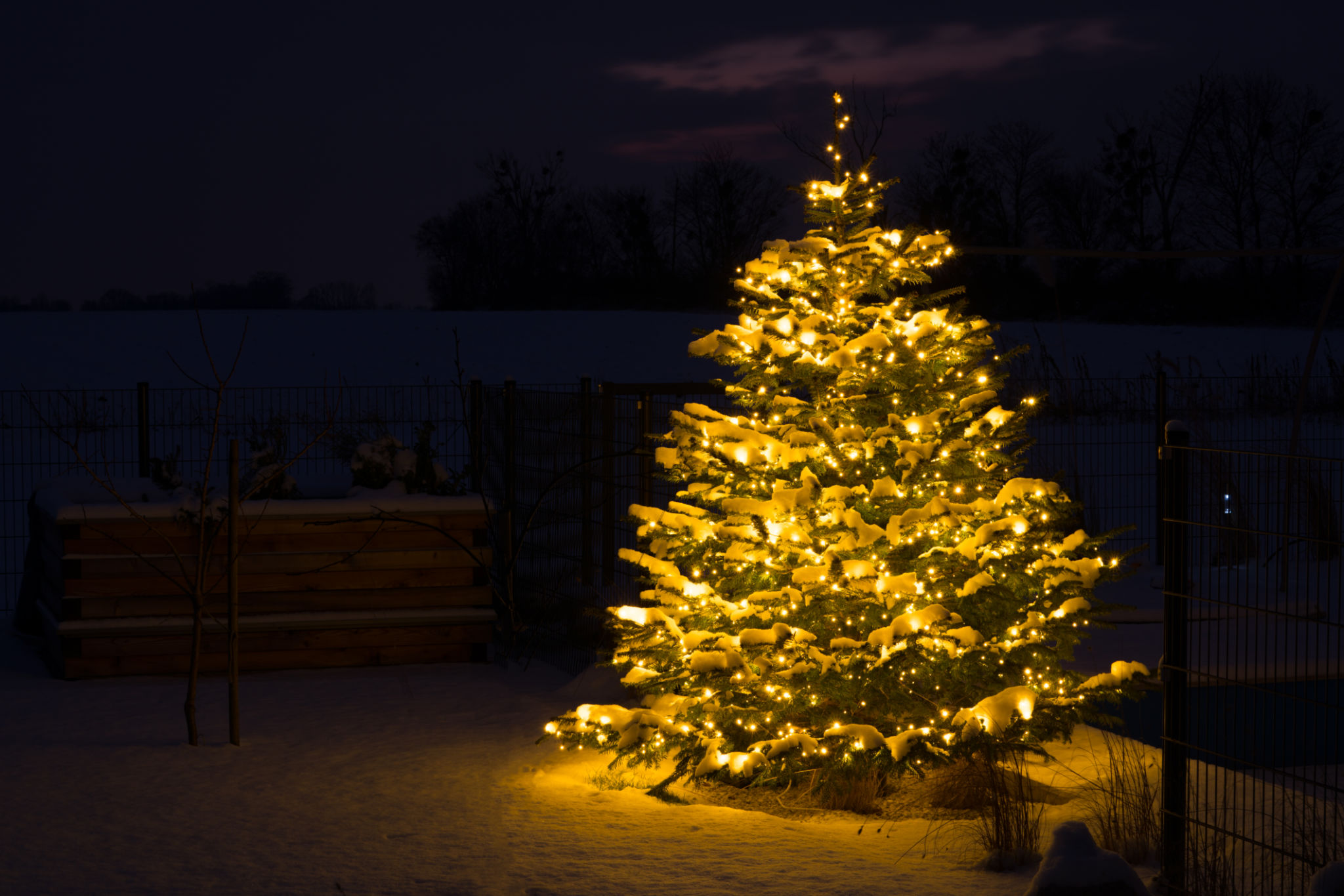 outdoor led garden