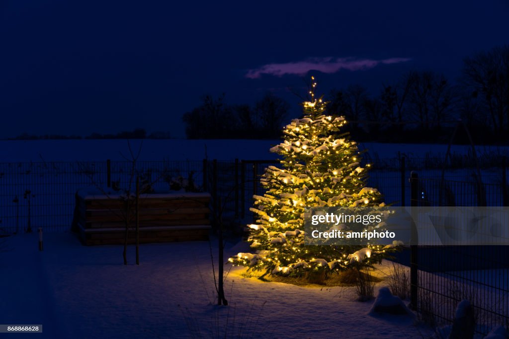 Weihnachten in GLR - Weihnachtsbaum mit Schnee und Lichter im Garten