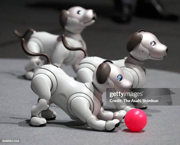 Sony Corp's new robot pet 'aibo' are seen during a press conference at the company headquarters on November 1, 2017 in Tokyo, Japan. The aibo is...