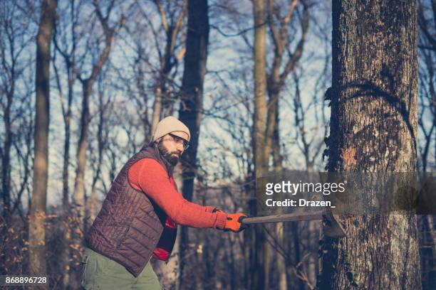 lumberjack chopping the old tree - chopping stock pictures, royalty-free photos & images