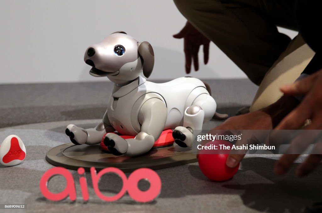 Sony Unveils New 'aibo' Robot Dog