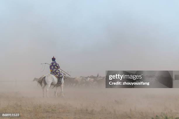 the horse is running - inner mongolia photos et images de collection