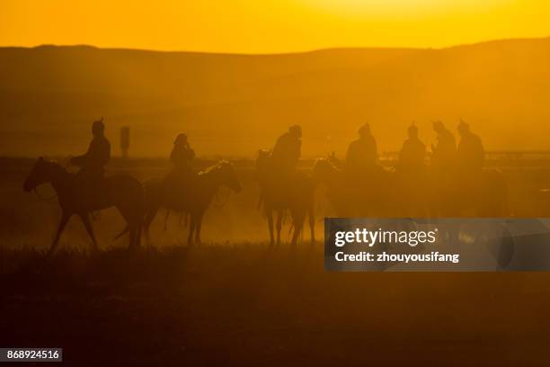 the equestrian technical performance - tame stock pictures, royalty-free photos & images