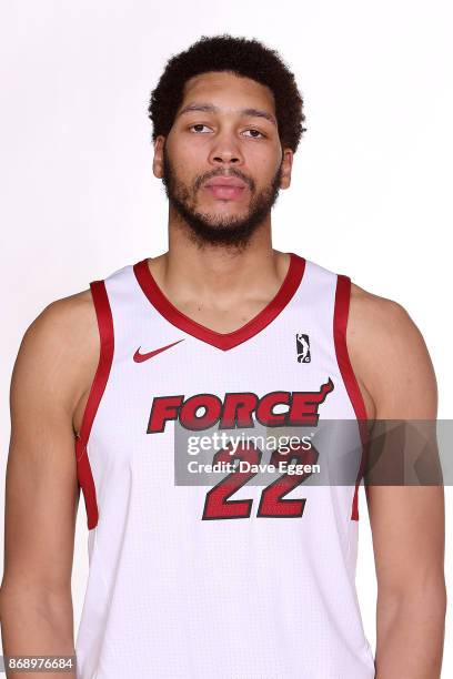 Hammons of the Sioux Falls Skyforce poses for a head shot during the NBA G-League media day at the Sanford Pentagon on October 31, 2017 in Sioux...