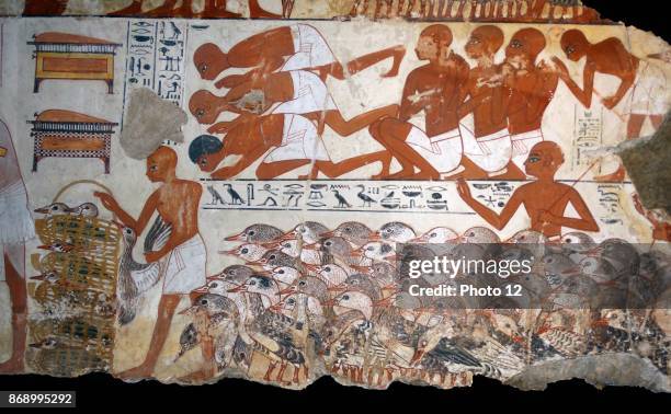 Fresco from the tomb of Nebamun, Fragment of a polychrome tomb-painting showing mass of geese with their farmers from the presentation of the geese...