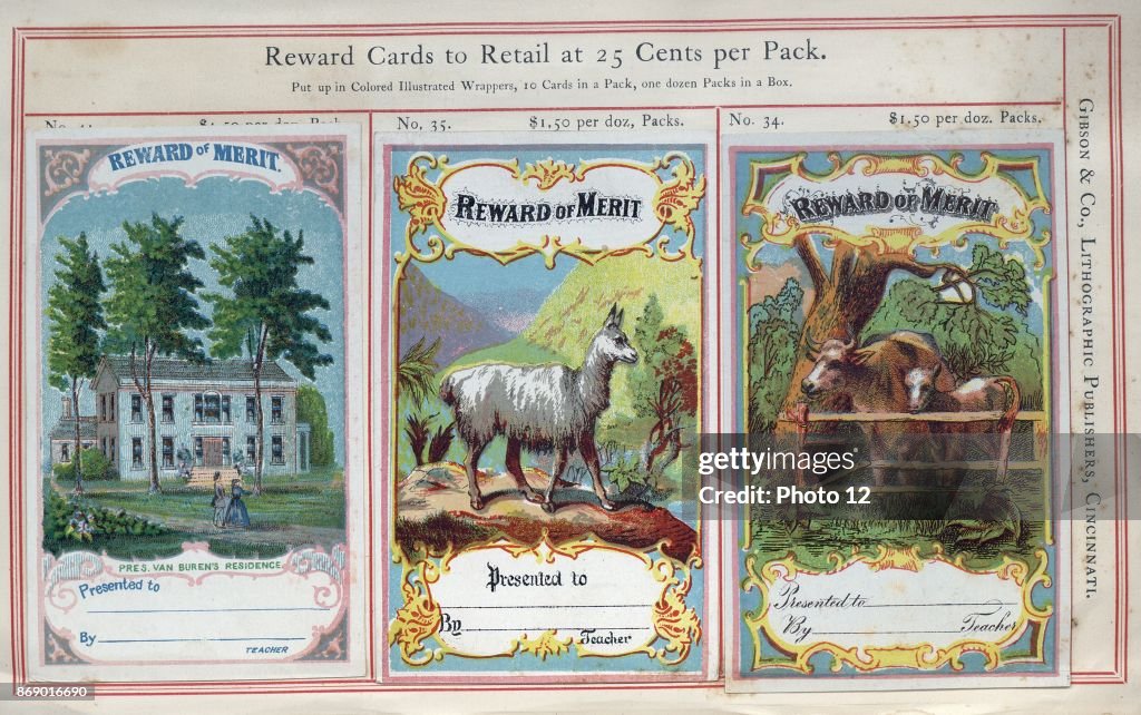 Highly coloured educational 'Reward Cards' for children.