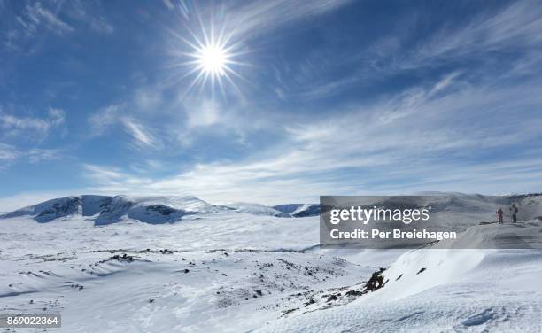 two skiers overlooking hallingskarvet national park - norway national day 2016 stock-fotos und bilder