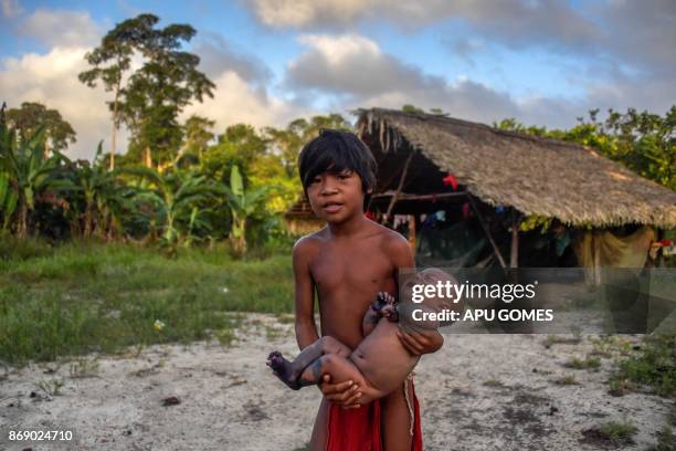 Waiapi Ribe 71 Waiapi Tribe Photos & High Res Pictures - Getty Images