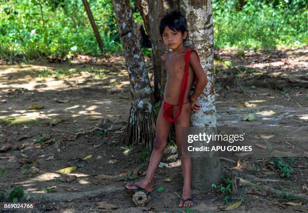 Potrait of a Waiapi boy at the Pinoty village in the Waiapi indigenous reserve, in Amapa state, Brazil, on October 12, 2017. The tiny Waiapi tribe is...