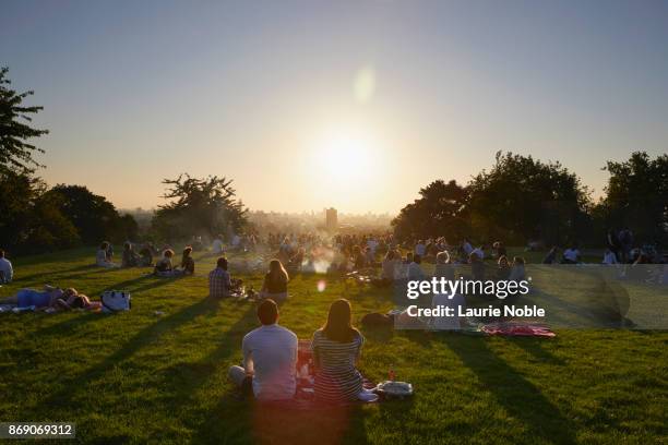 bright sun over people relaxing on grass in telegraph hill with london cityscape; uk - park london sun stock-fotos und bilder