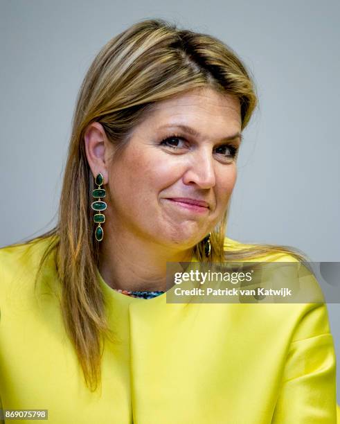 Queen Maxima of The Netherlands visits Vice President Yemi Osinbajoon November 1, 2017 in Abuja, Nigeria.