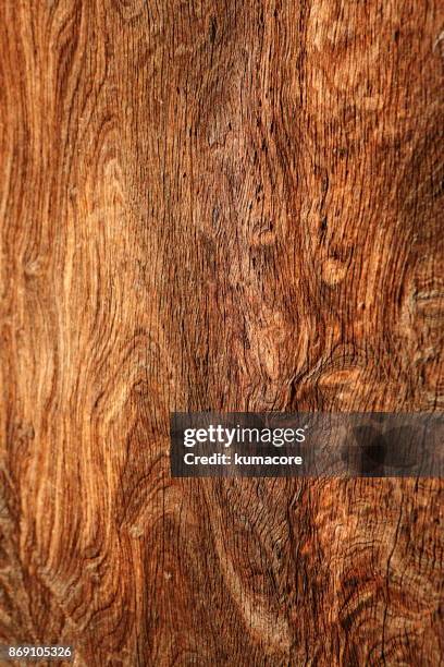 old grain woody - moire stock pictures, royalty-free photos & images