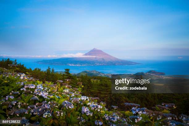 pico isla, las azores - pico fotografías e imágenes de stock