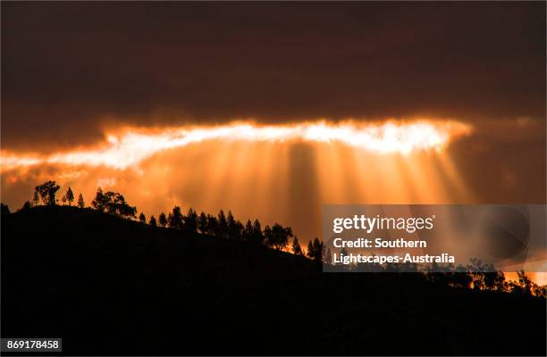 bunyeroo valley inside the ikara national park, southern flinders ranges, south australia - nationalpark flinders ranges stock-fotos und bilder
