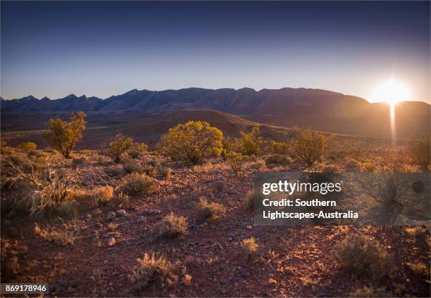 ikara national park, southern flinders ranges, south australia - nationalpark flinders ranges stock-fotos und bilder