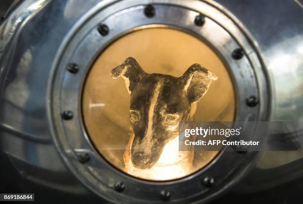 Picture taken on November 1, 2017 shows an effigy of the dog Laika, the first living creature in space, inside a replica of satellite Sputnik II at...