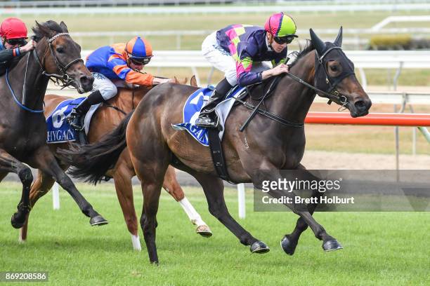 Love in the City ridden by Jye McNeil wins the Mitchelton Wines F&M BM64 Handicap at Seymour Racecourse on November 02, 2017 in Seymour, Australia.
