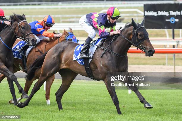 Love in the City ridden by Jye McNeil wins the Mitchelton Wines F&M BM64 Handicap at Seymour Racecourse on November 02, 2017 in Seymour, Australia.