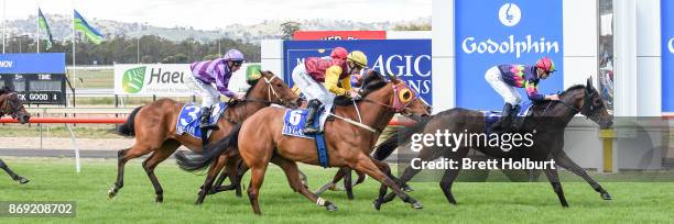 Love in the City ridden by Jye McNeil wins the Mitchelton Wines F&M BM64 Handicap at Seymour Racecourse on November 02, 2017 in Seymour, Australia.