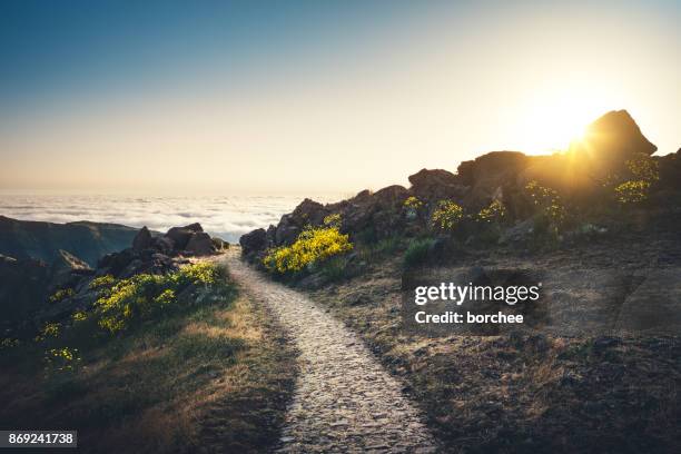 pico de arieiro op madeira - trail stockfoto's en -beelden