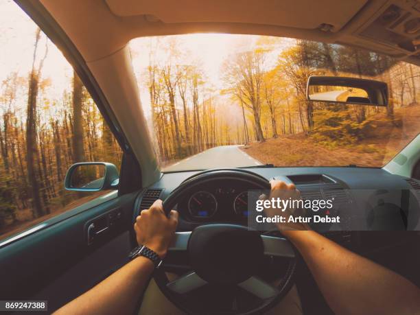 guy driving car from personal perspective in a beautiful mountain road between forest with autumn colors in the montseny nature reserve close to barcelona city during day trip. - sturen stockfoto's en -beelden