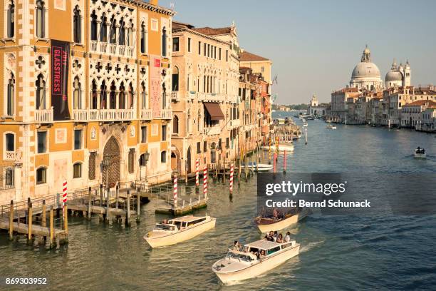 grand canal and santa maria della salute - bernd schunack imagens e fotografias de stock