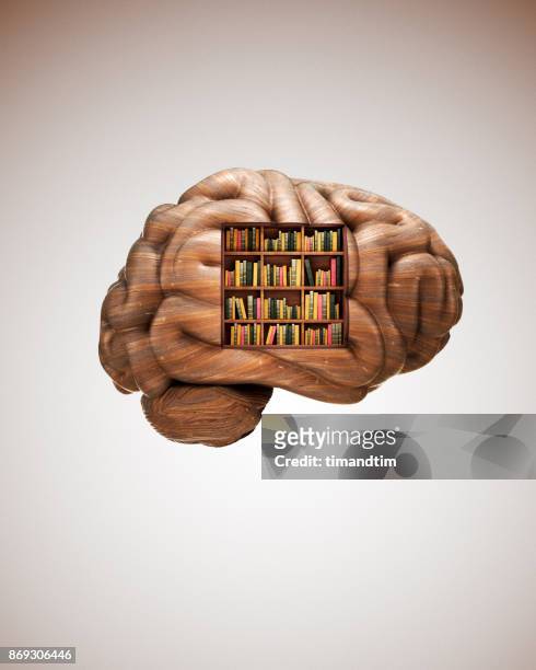 Brain made of wood with a bookcase