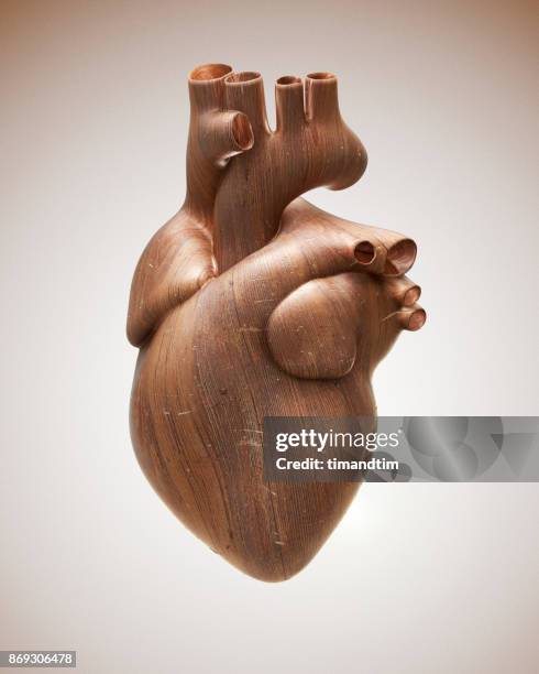 heart made of wood - fries stockfoto's en -beelden