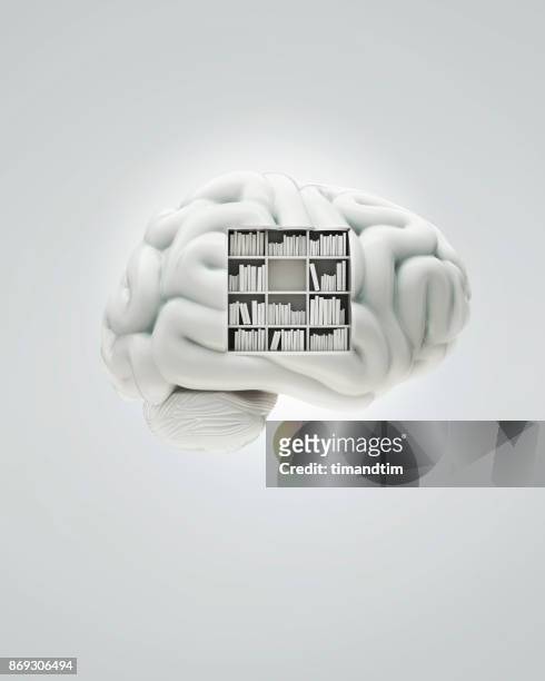 white brain with a bookcase - memories stock pictures, royalty-free photos & images