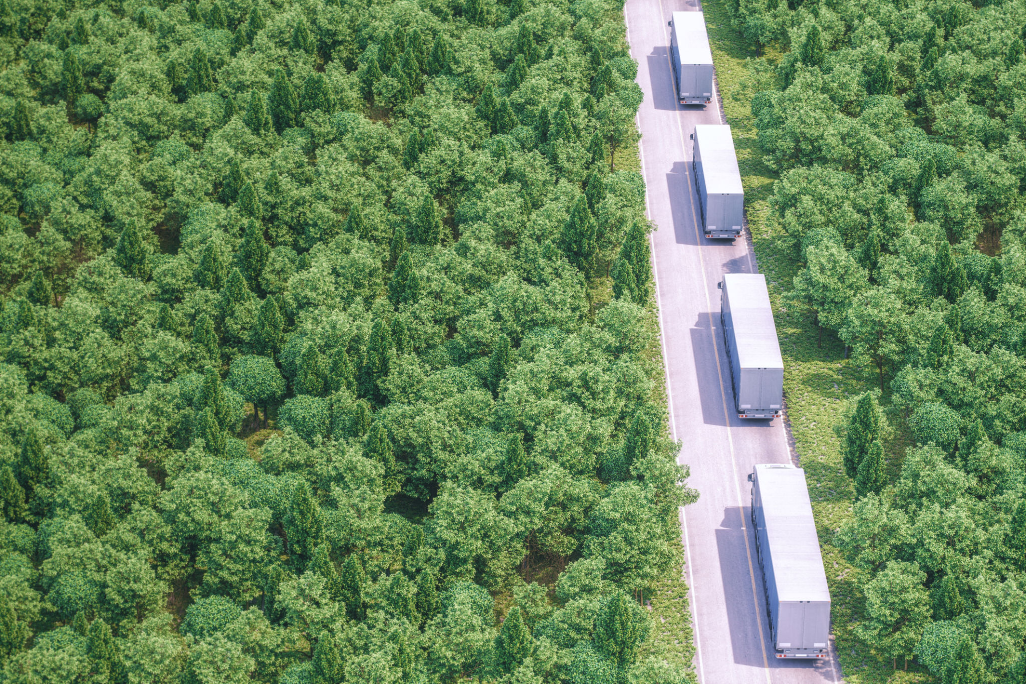 trailer fleet