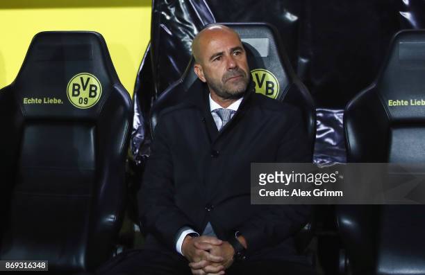 Head coach Peter Bosz of Dortmund looks on prior to the UEFA Champions League group H match between Borussia Dortmund and APOEL Nikosia at Signal...