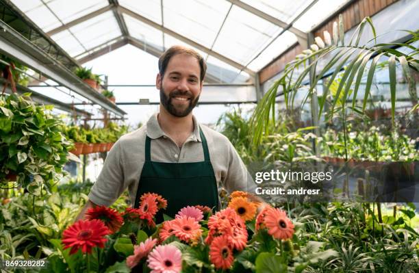 latin american business owner carrying a box full of gerbera plants looking at the camera smiling - gerbera daisy stock pictures, royalty-free photos & images