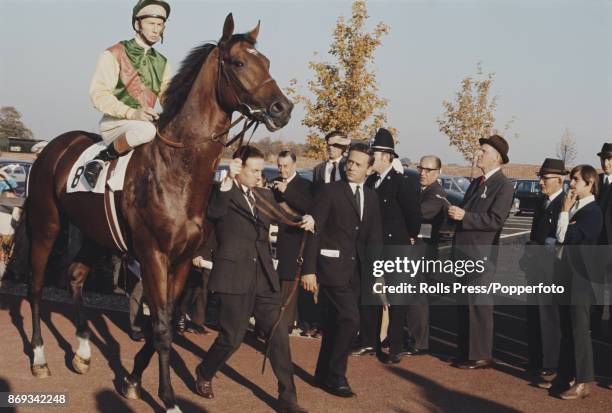 English professional jockey Lester Piggott pictured mounted on the racehorse Nijinsky before competing to finish in 2nd place in the Champion Stakes...