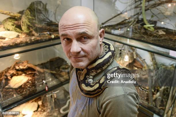 Neven Vrbanic poses for a picture holding a royal piton at his house, Zagreb, Croatia on November 02, 2017. Neven Vrbanic is a Croatian snake...