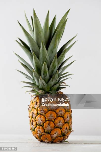 pineapple - carolafink stock pictures, royalty-free photos & images
