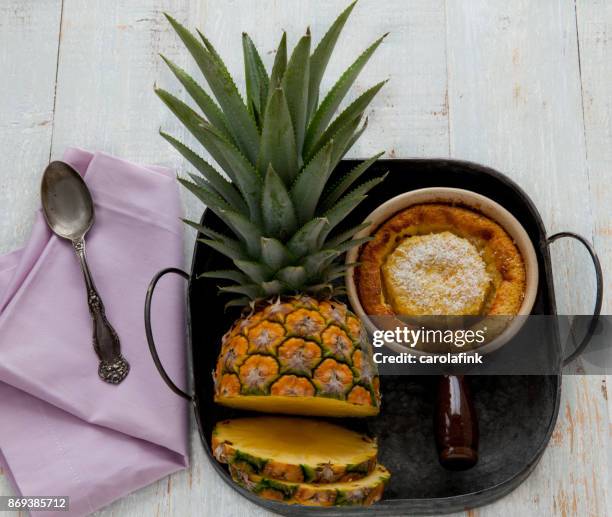 pineapple - carolafink stock pictures, royalty-free photos & images