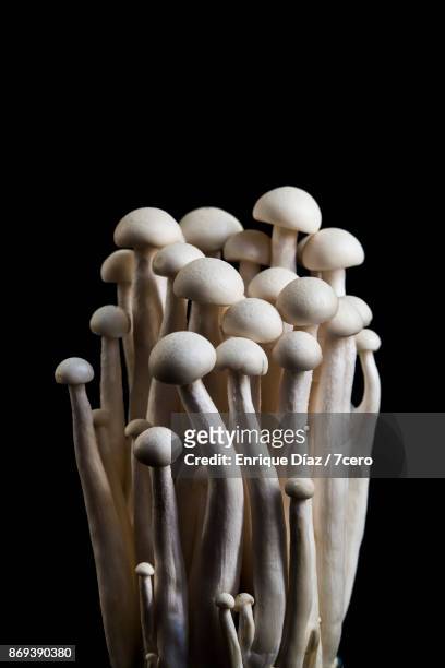 enoki mushroom still life - enoki mushroom stock pictures, royalty-free photos & images