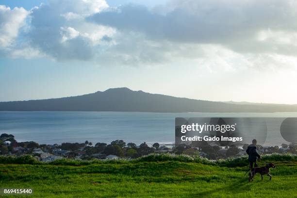 rangitoto island - rangitoto stock pictures, royalty-free photos & images