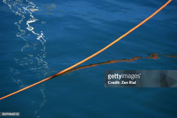 mooring rope reflecting on bay of fundy in saint john, new brunswick, canada - anlegetau stock-fotos und bilder