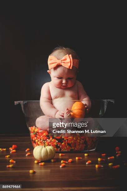 halloween baby - miniature pumpkin stock pictures, royalty-free photos & images